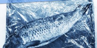 Кулінари розповіли, як правильно розморожувати рибу без води та мікрохвильовки