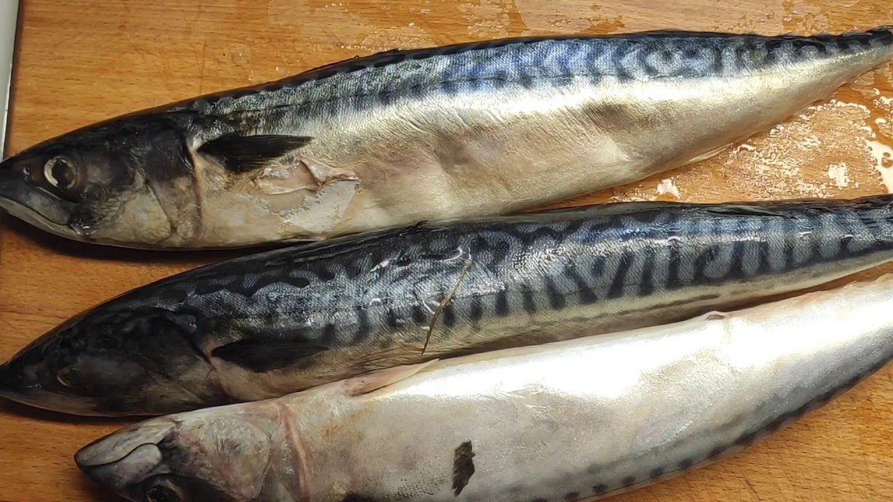 Кулінари розповіли, як правильно розморожувати рибу без води та мікрохвильовки