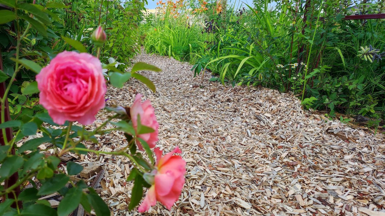 Дачники розповіли, із чого можна зробити міцні безкоштовні садові доріжки