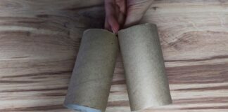 Господині назвали цікаві способи використання втулок від туалетного паперу
