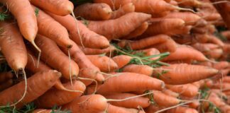 Городники пояснили, як рівно засіяти грядку моркви 