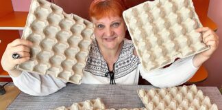 Дачники розповіли, як лотки від яєць допоможуть зберегти врожай у погребі