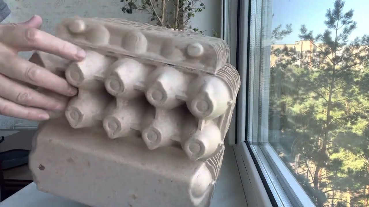 Дачники розповіли, як лотки від яєць допоможуть зберегти врожай у погребі