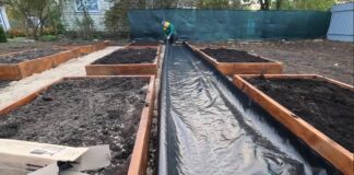 Дачники розповіли, чим можна застелити доріжки на городі від калюж та бруду