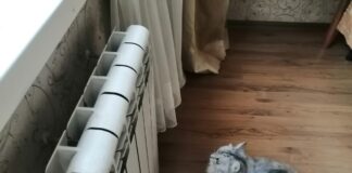 Господині розповіли, як підвищити температуру в кімнаті менш ніж за годину