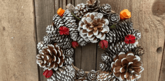 Експерти розповіли, як створити п'ять красивих новорічних композицій із шишок