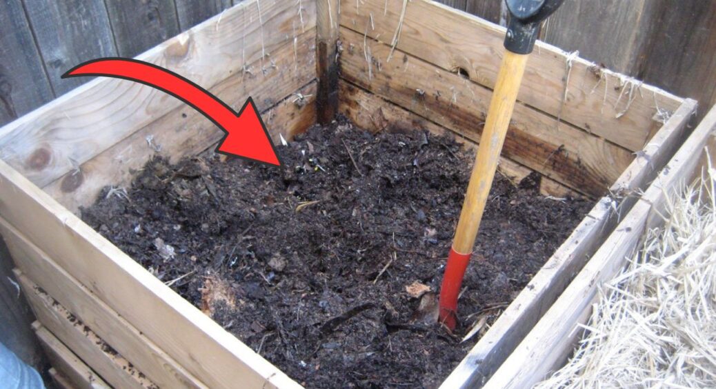 Морози вже “на носі”, отже не залишайте компост без уваги: 3 дії, які до весни зроблять з нього “золото” 
