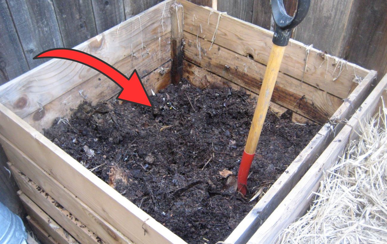 Городники розповіли, як підготувати компост перед заморозками 