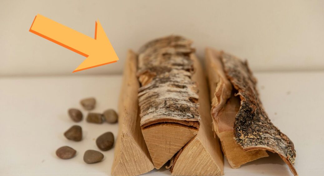 Не всі дрова однаково добре гріють: 3 породи, які дають тепло вдвічі довше – мій батько-селянин перевірив 