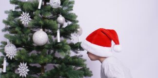 Як використовувати хвойний опад з ялинки