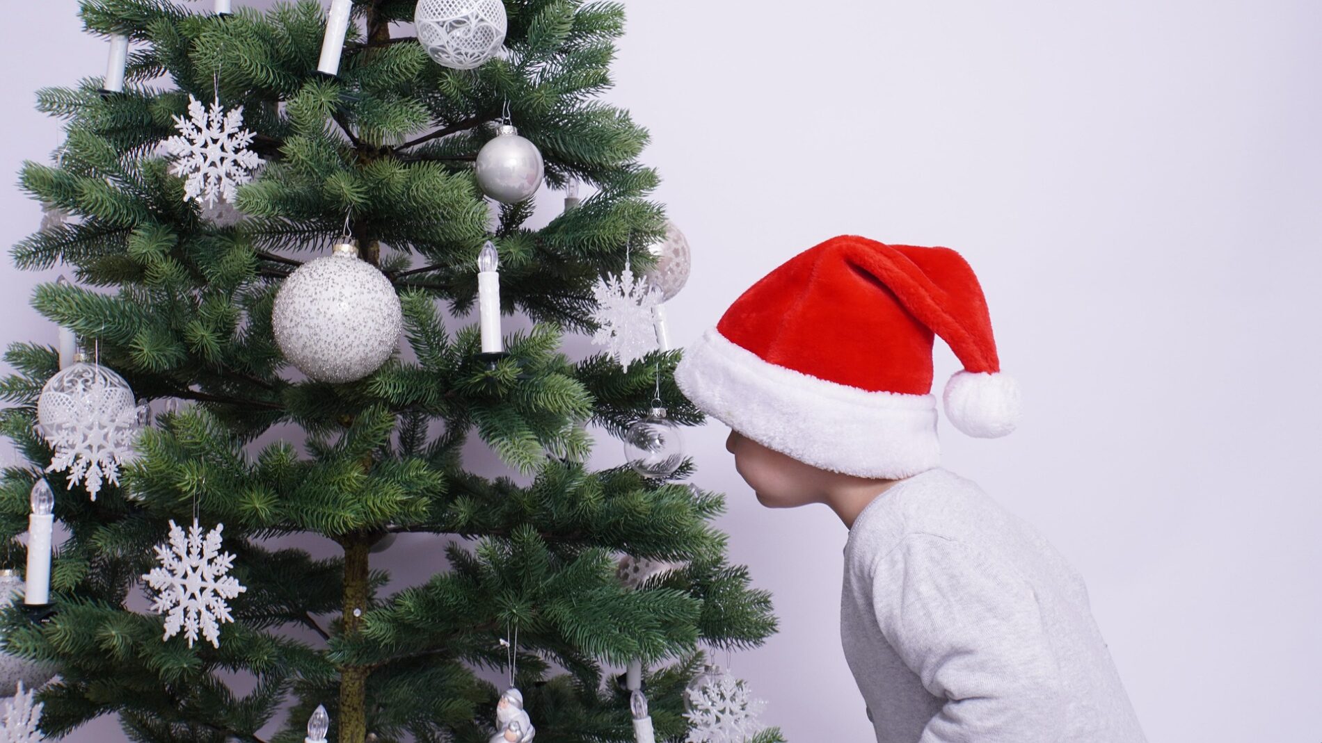 Як використовувати хвойний опад з ялинки