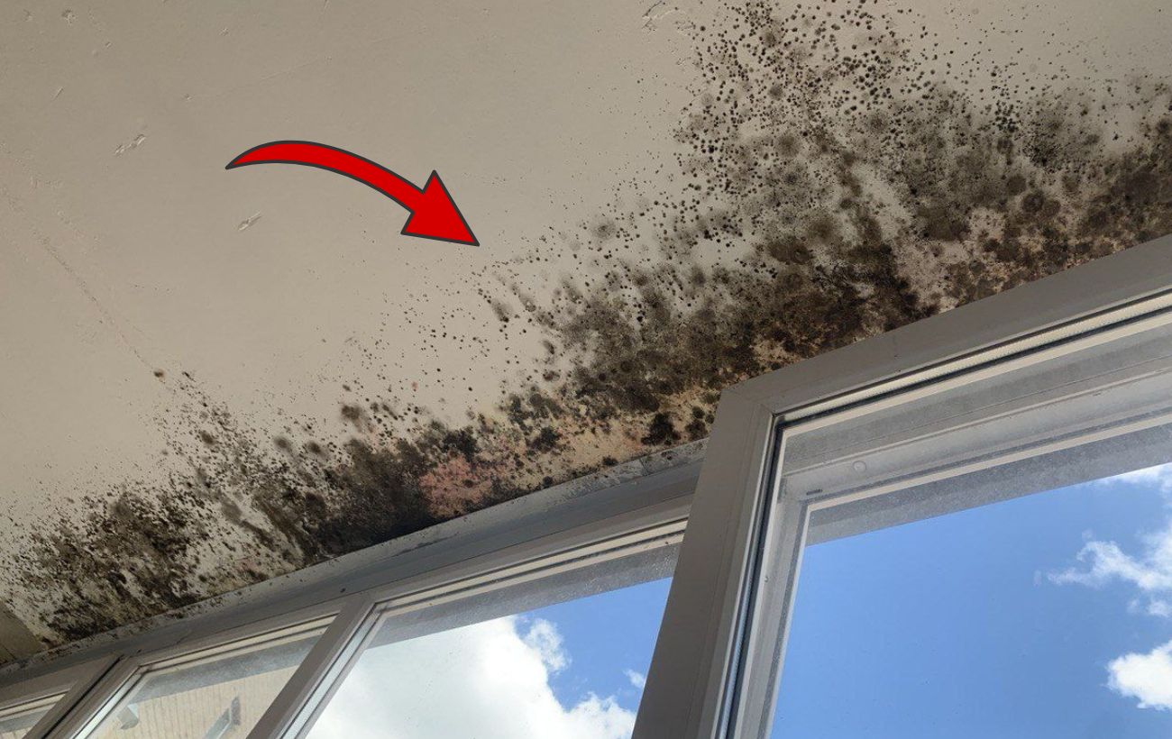 Як позбутись від плісняви на стінах