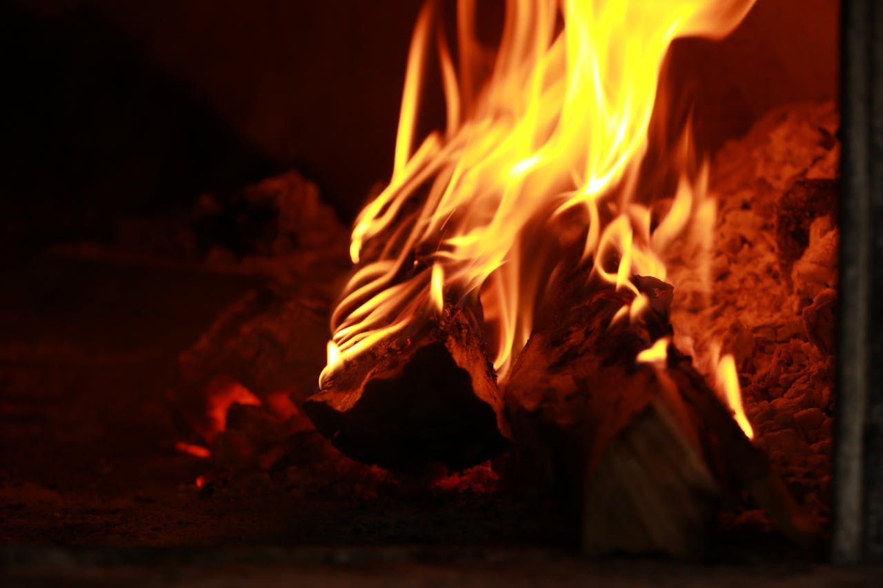 Експерти назвали породи дерева, які взимку обігрівають будинок набагато краще – поради