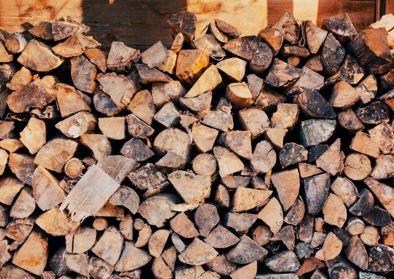 Експерти назвали породи дерева, які взимку обігрівають будинок набагато краще – поради