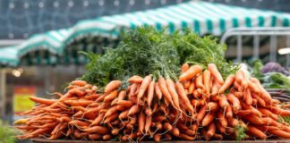 Городники розповіли, як підготувати насіння моркви до посіву