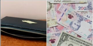 Господині розповіли, навіщо класти лаврове листя у гаманець