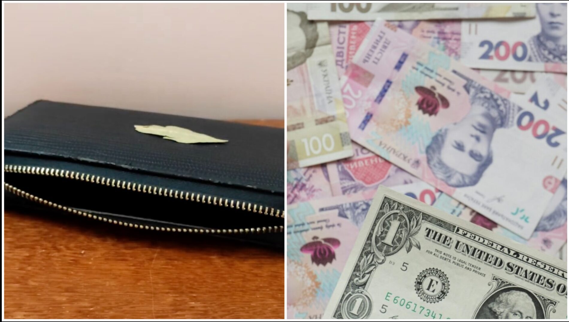 Господині розповіли, навіщо класти лаврове листя у гаманець