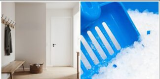 Господині розповіли, як позбутися вогкості у кімнаті без спеціальних приладів