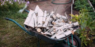 Як швидко розпалити вогнище у пічці