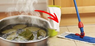Господині розповіли, навіщо мити підлогу відваром лаврового листя 