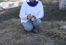 Взимку дивлюся не тільки за вікно, а й на термометр: якщо картинка не сходиться — беру 1 річ і біжу на город Городники розповіли, чи потрібно мульчувати рослини на зиму