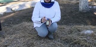 Городники розповіли, чи потрібно мульчувати рослини на зиму 