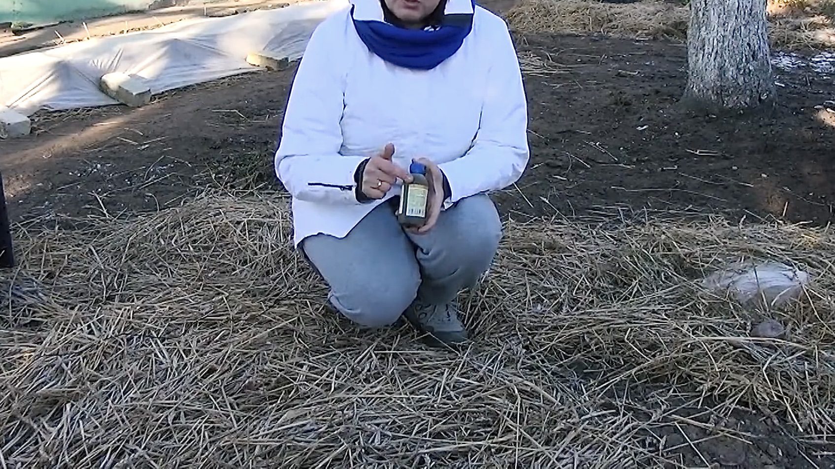 Городники розповіли, що покласти у мульчу, щоб там не заводилися миші 