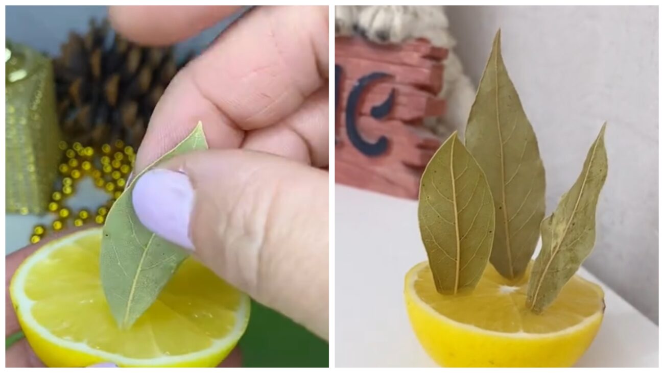 Господині розповіли, як зробити ароматизатор для квартири з лимону і лаврушки