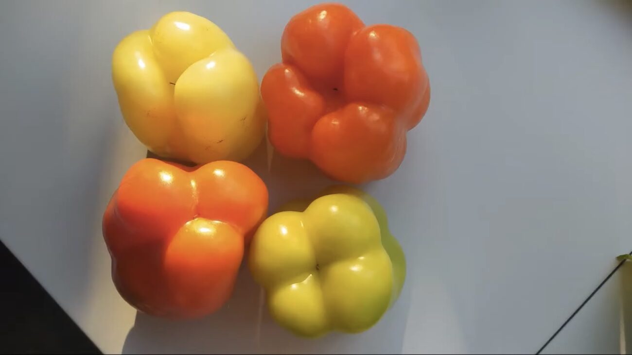 Господині розповіли, як обрати який перець для салатів, а який для фарширування Господині розповіли, як обрати який перець для салатів, а який для фарширування