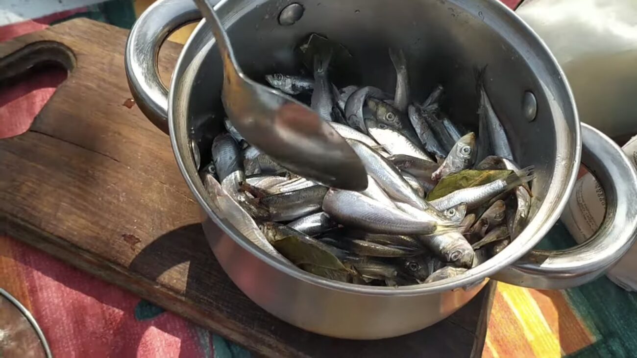 Господині розповіли, як готувати слабосолену тюльку в домашніх умовах 