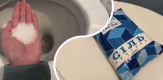 Господині розповіли, навіщо ставити миску із сіллю в туалеті