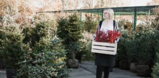 Експерти розсекретили, куди зникають непродані ялинки після 1 січня