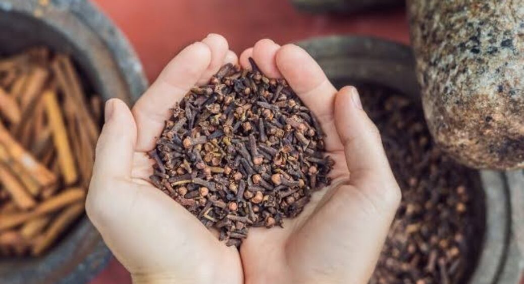 Зранку пʼю воду з гвоздикою та відчуваю себе на всі 100: але є 3 секрети для її повної дії на організм 