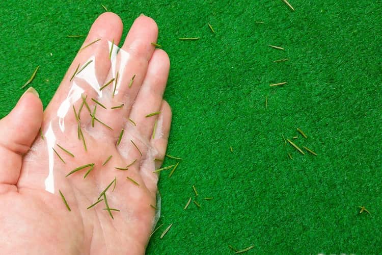 Господині сказали, як прибрати ялинкові гілки з килима 