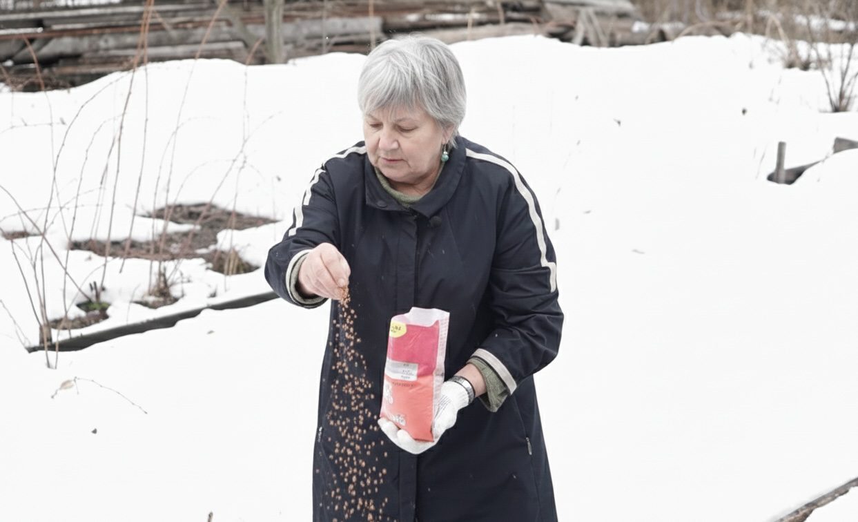 Городники розповіли, яку крупу потрібно розсипати по снігу на городі