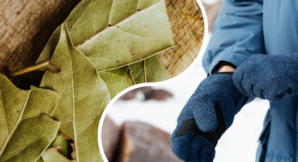 Щойно приходить зима – кладу 1 лавровий лист у рукавиці: це не забобони, а реально працююча прикмета 