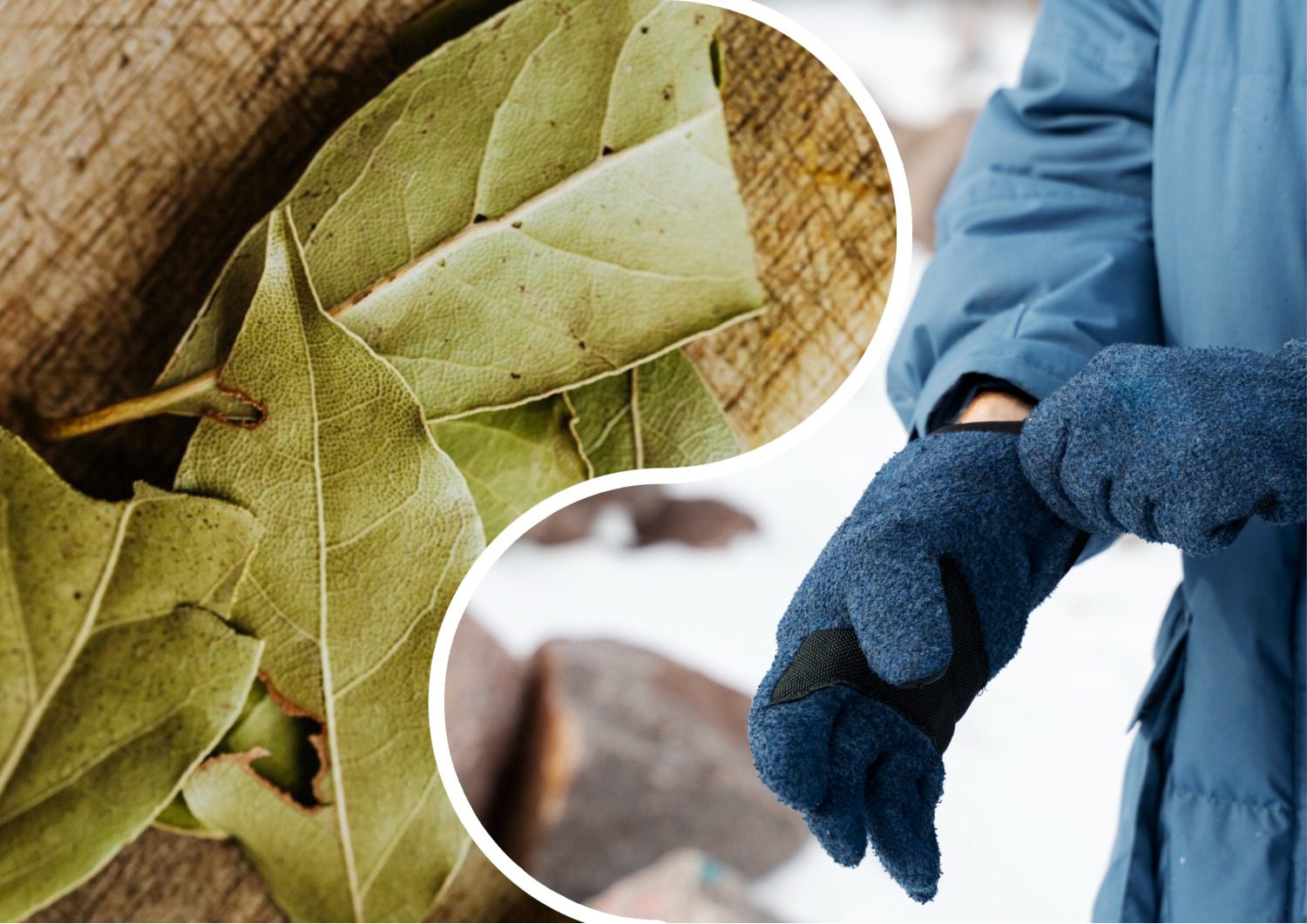 Господині розповіли, як використати лаврове листя поза кухнею