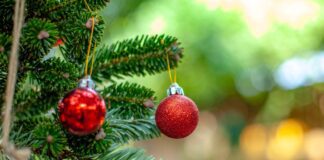 Експерти пояснили, чому кулькові іграшки для ялинки різних кольорів