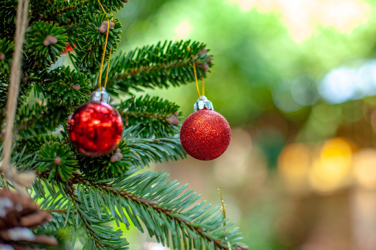 Експерти розповіли, як захистити ялинку від опадання гілочок – корисний розчин для обприскування