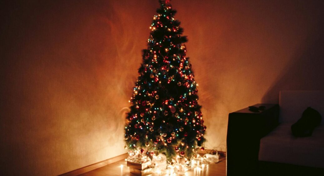 Яку ялинку краще купити на Новий рік 2026 – живу чи штучну: плюси та мінуси, ціни, екологічність 