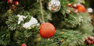 Як захистити ялинку від опадання гілочок