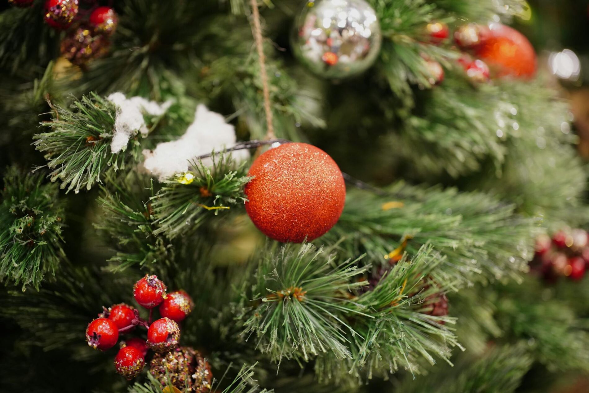 Як захистити ялинку від опадання гілочок