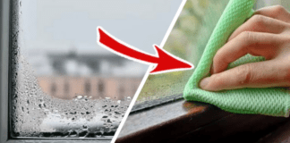 Господині розповіли, які підручні засоби допоможуть позбутися конденсату на вікнах 