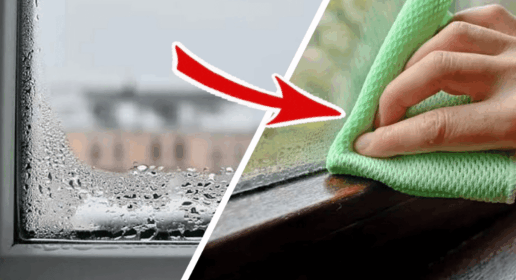 1 ложка гліцерину + 1 ложка оцту + 2 ложки “таємного” інгредієнту: на склі немає конденсату і цвіль не повзе 