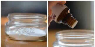 Господині розповіли, що поставити у туалеті, щоб там був приємний запах