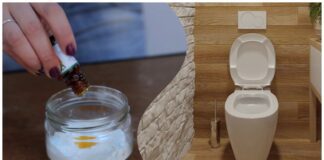 Господині розповіли, що поставити у туалеті, щоб там був приємний запах 