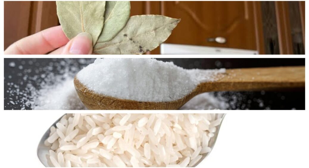 3 лаврових листи, 3 ложки солі, 3 ложки рису — це не рецепт якогось “варива”: потужний засіб від конденсату 