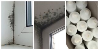 Господині розповіли, як бюджетно утеплити вікна