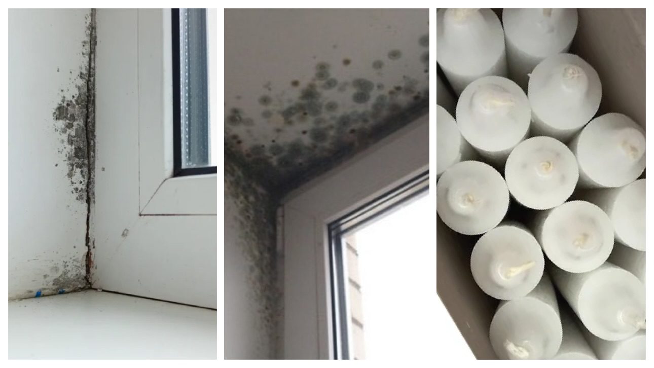 Господині розповіли, як захистити вікна взимку від чорної плісняви  