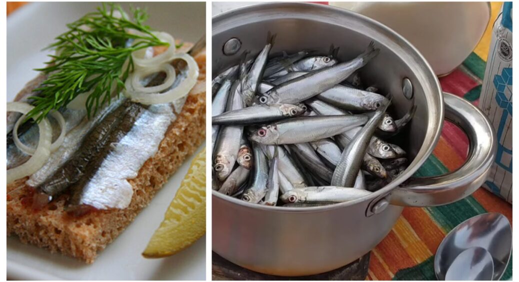 Слабосолона тюлька у домашніх умовах за 6 годин: на магазинну вже не гляну! 1 ложка солі + секретний трюк 